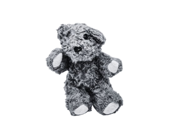 Bear Image