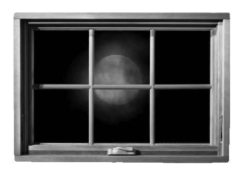 Window Gif